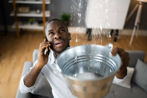 Best Water Damage Insurance Claim Assistance in Lyles, TN